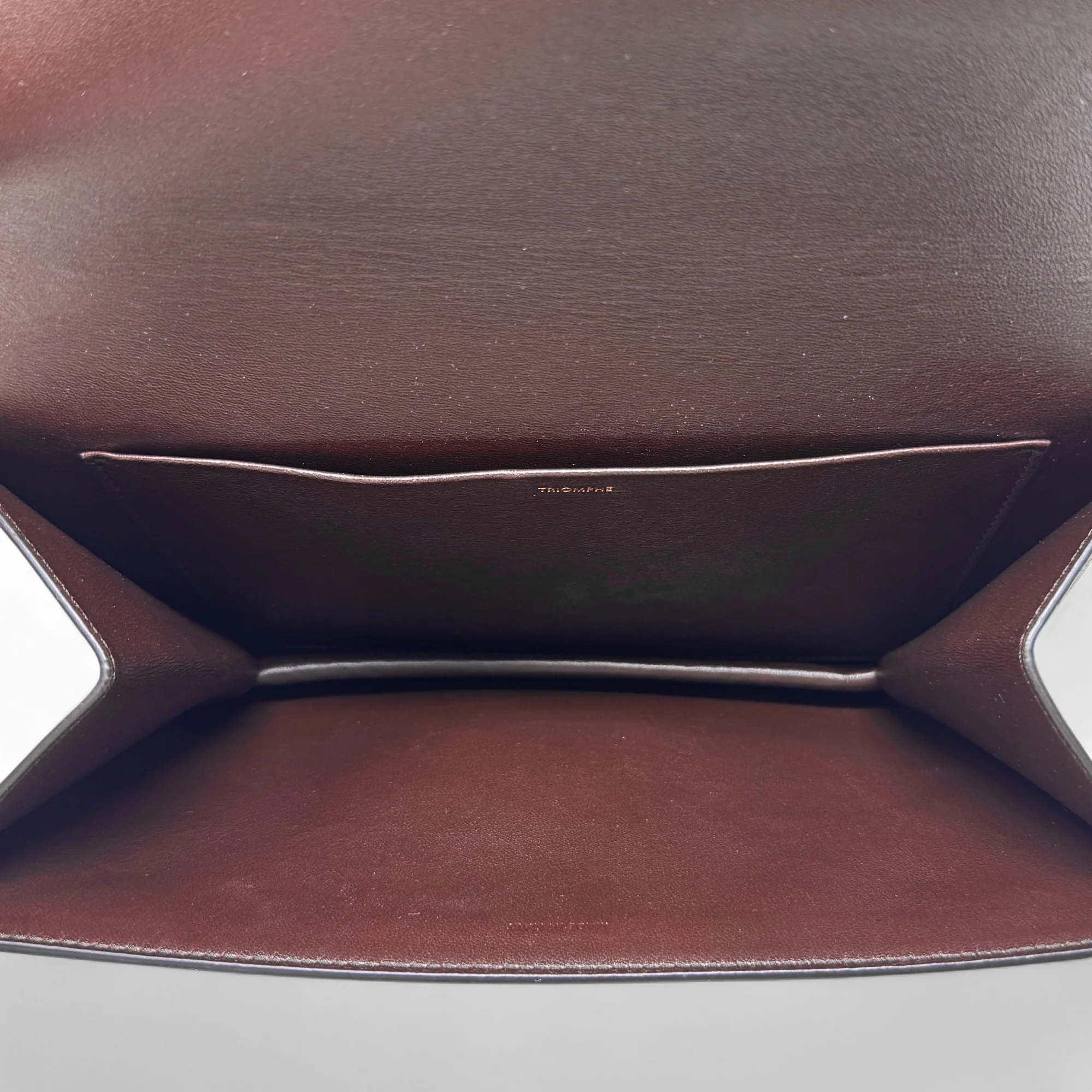 Celine Brown Snakeskin Triomphe Clutch - Image 12