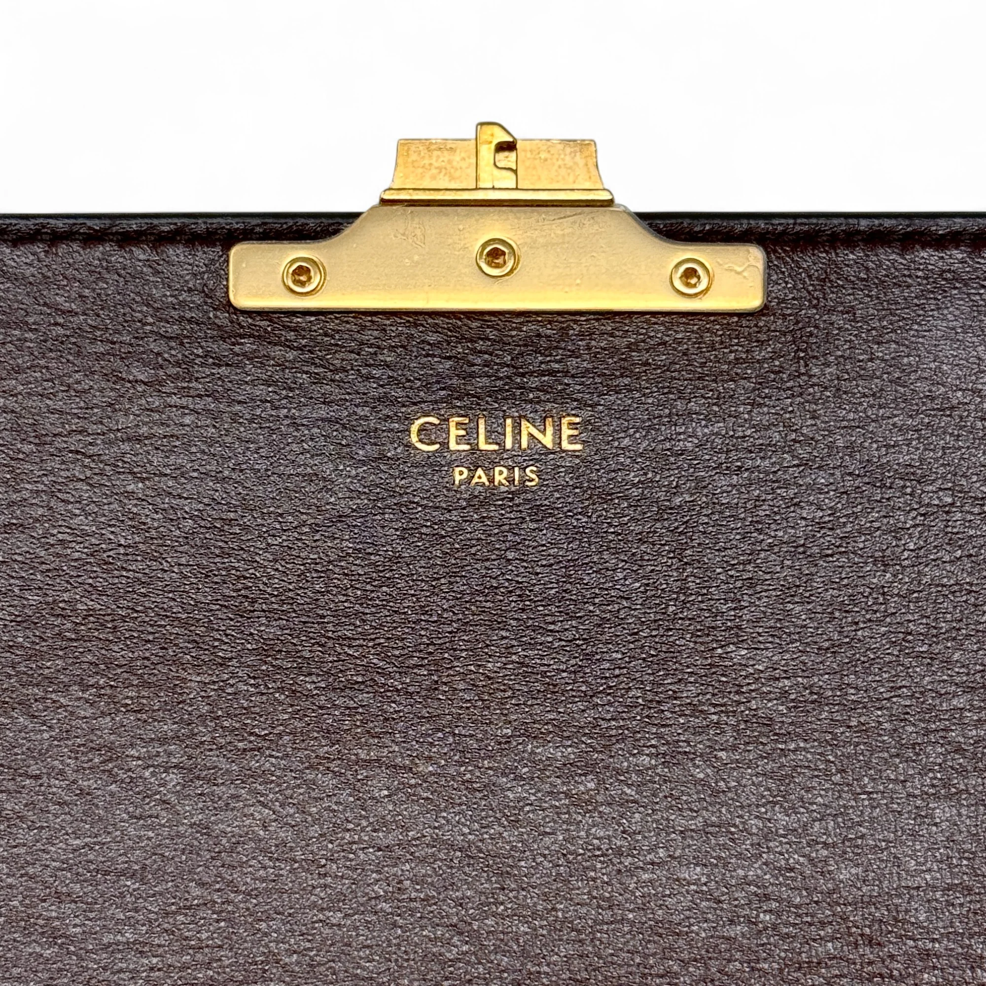 Celine Brown Snakeskin Triomphe Clutch - Image 13