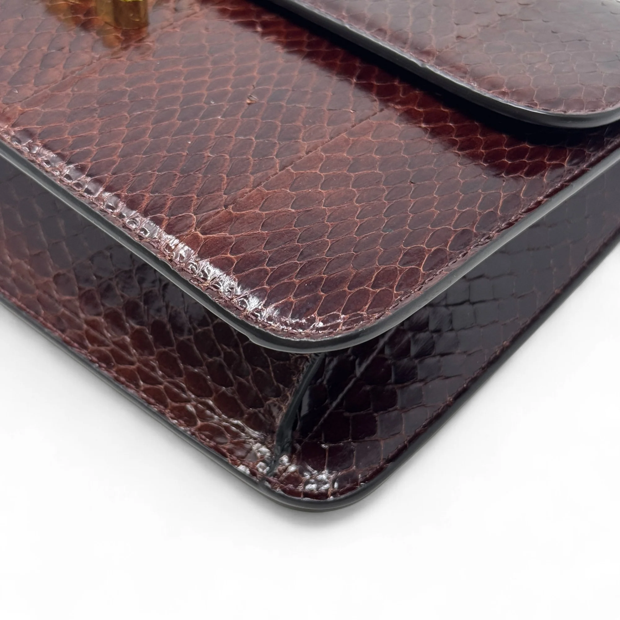 Celine Brown Snakeskin Triomphe Clutch - Image 6