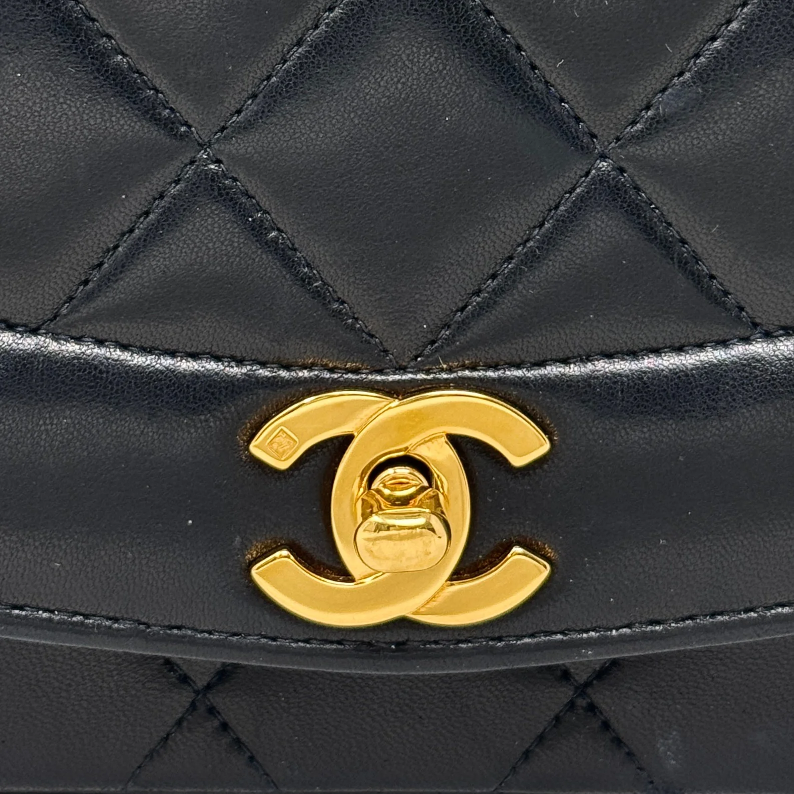 Chanel Black Small Vintage Diana Flap - Image 10