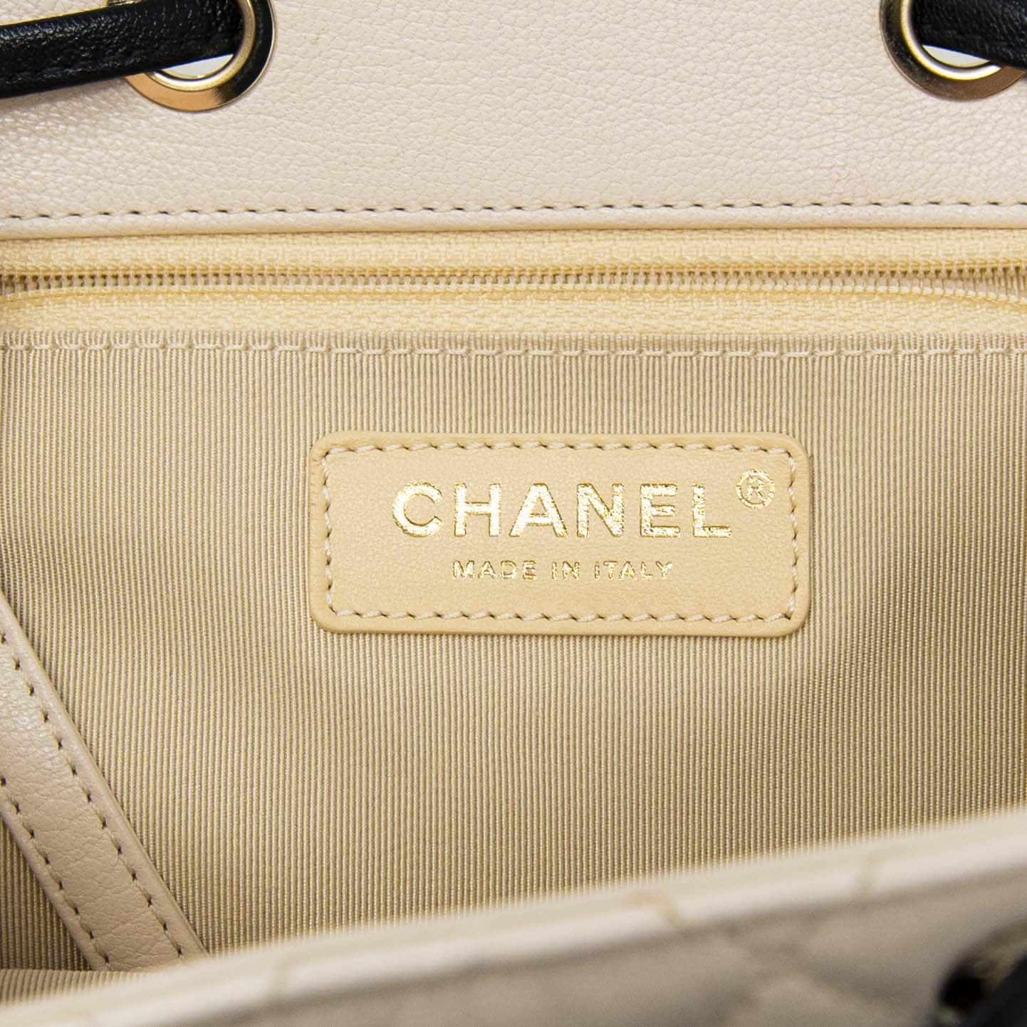 Chanel Tricolour Medium Duma Backpack - Image 14