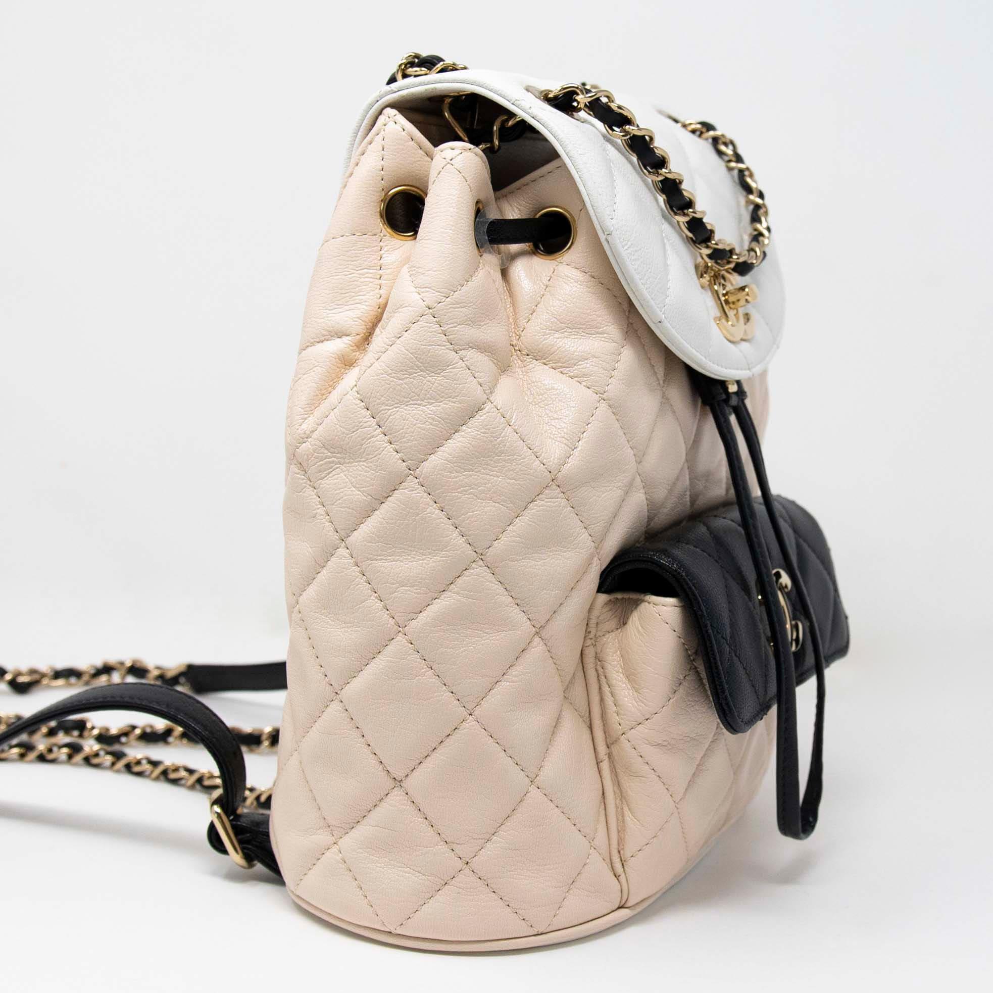 Chanel Tricolour Medium Duma Backpack - Image 4
