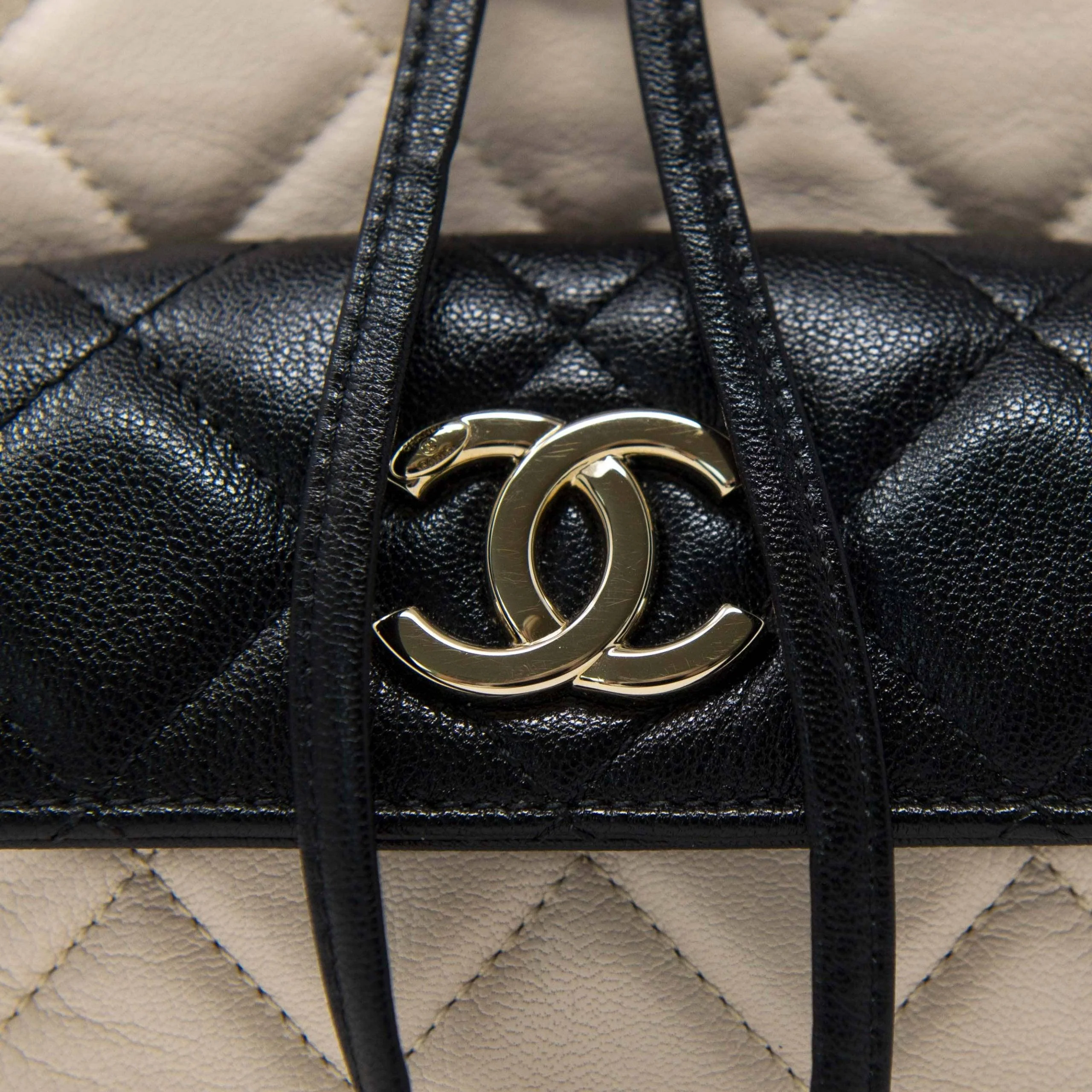 Chanel Tricolour Medium Duma Backpack - Image 6