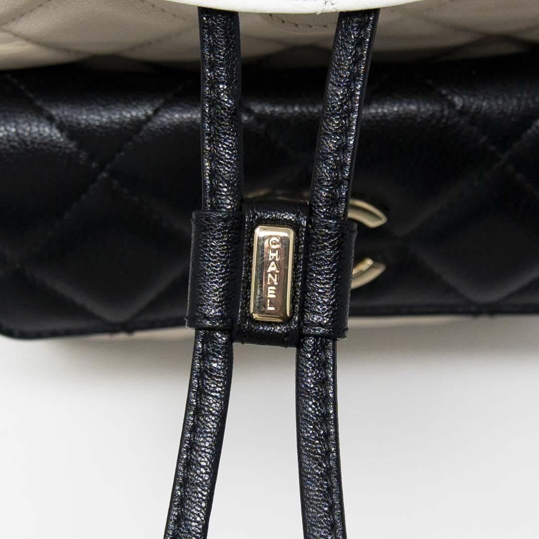 Chanel Tricolour Medium Duma Backpack - Image 7