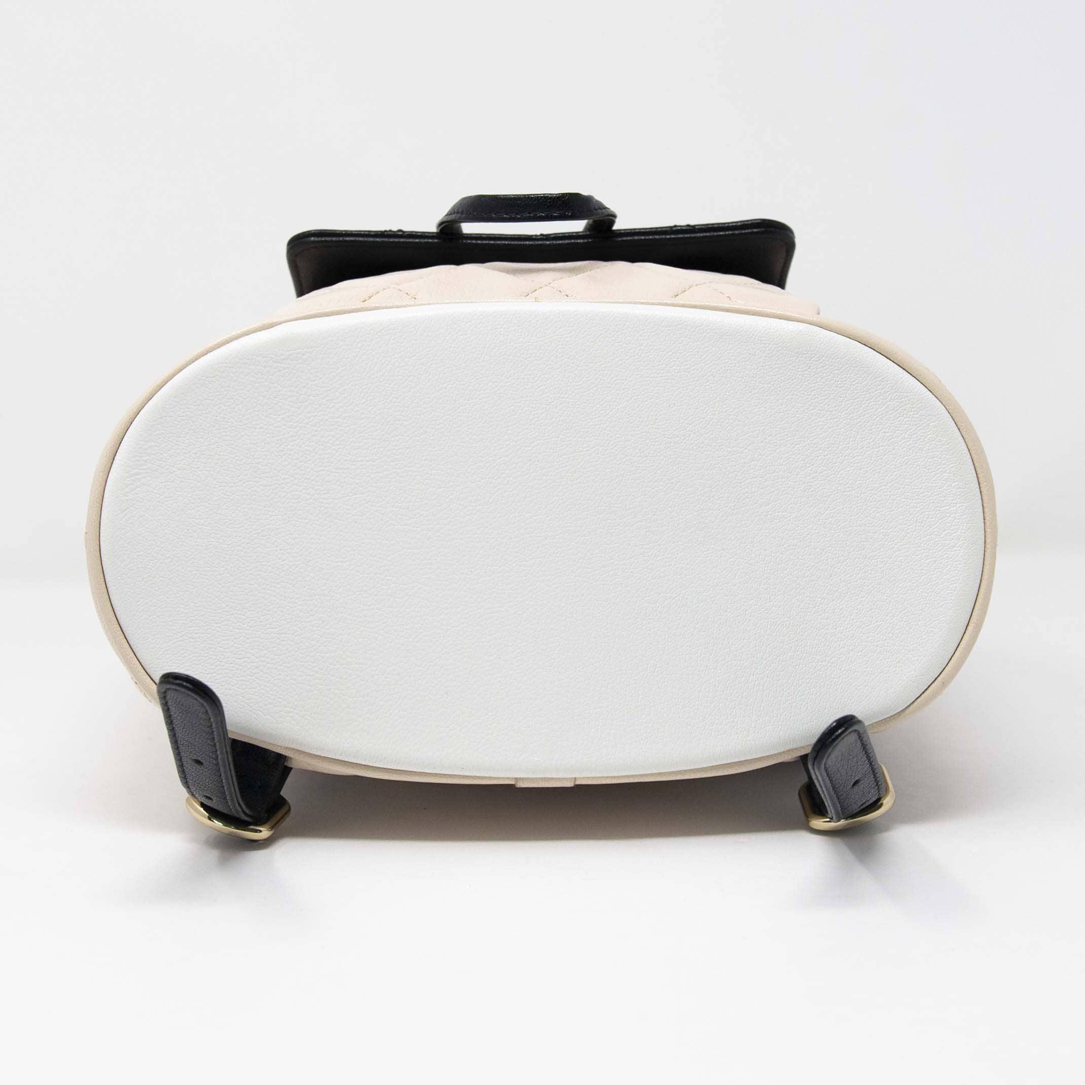 Chanel Tricolour Medium Duma Backpack - Image 8