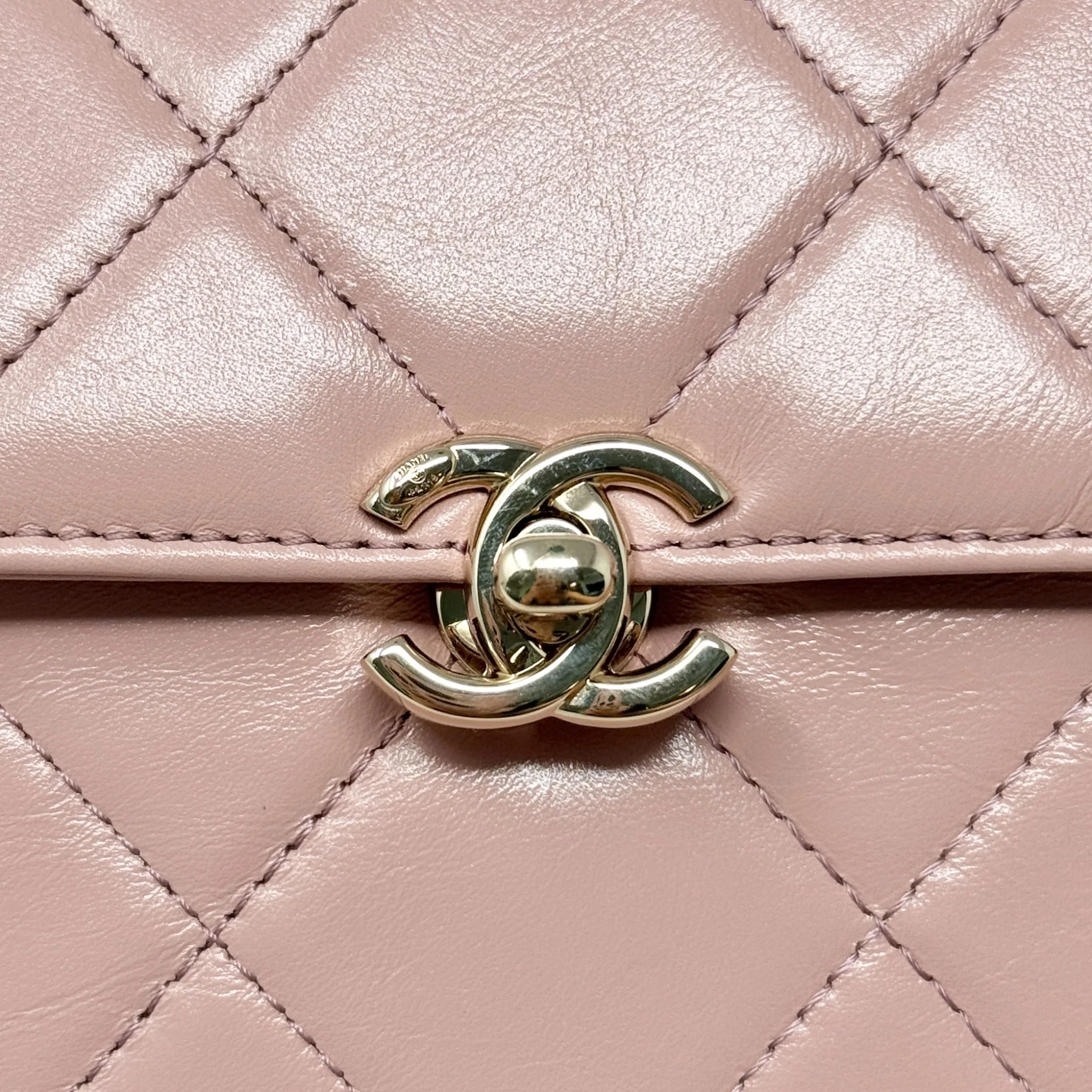 Chanel Pink Medium Vanity Top Handle Flap - Image 10