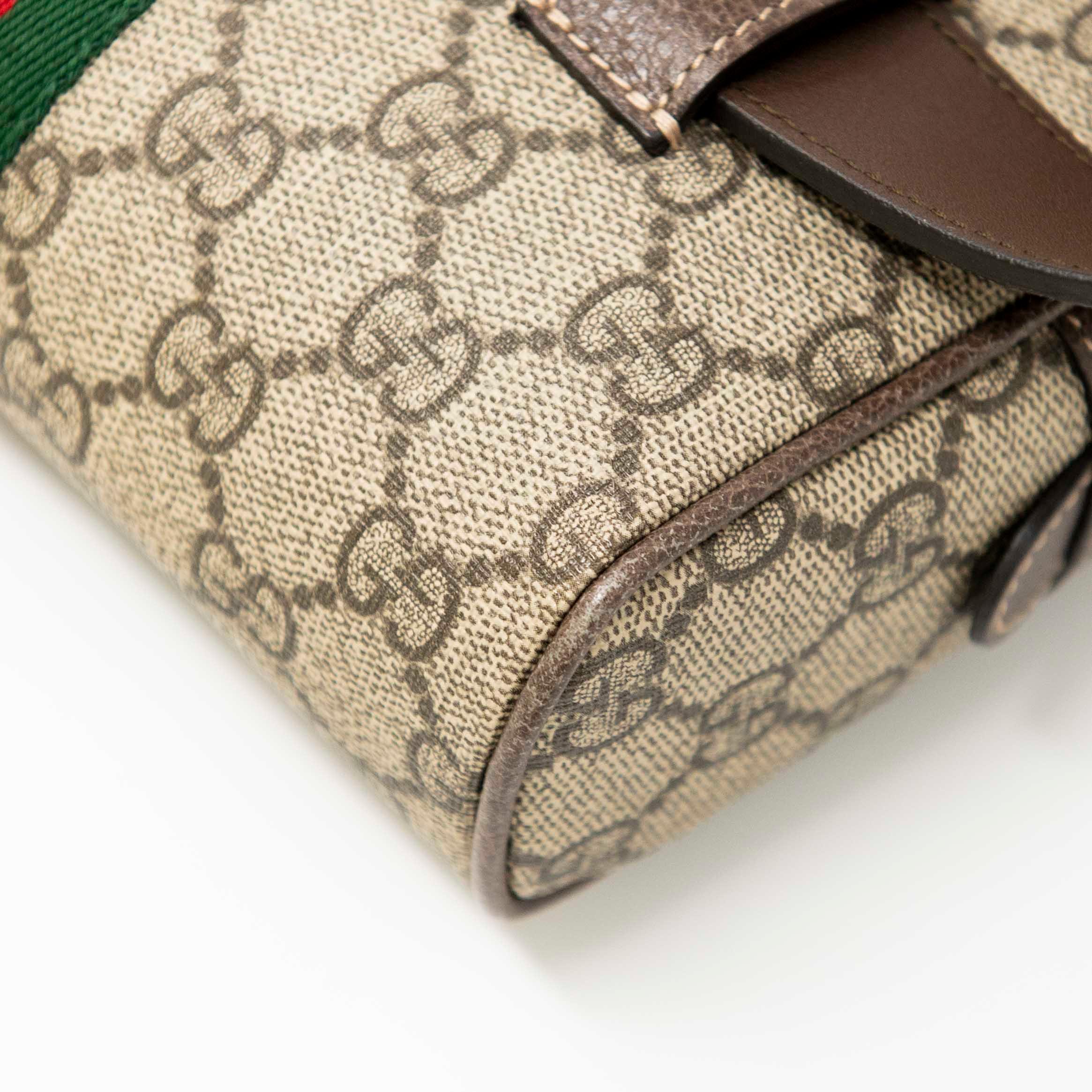 Gucci Ophidia Belt Bag - Image 10