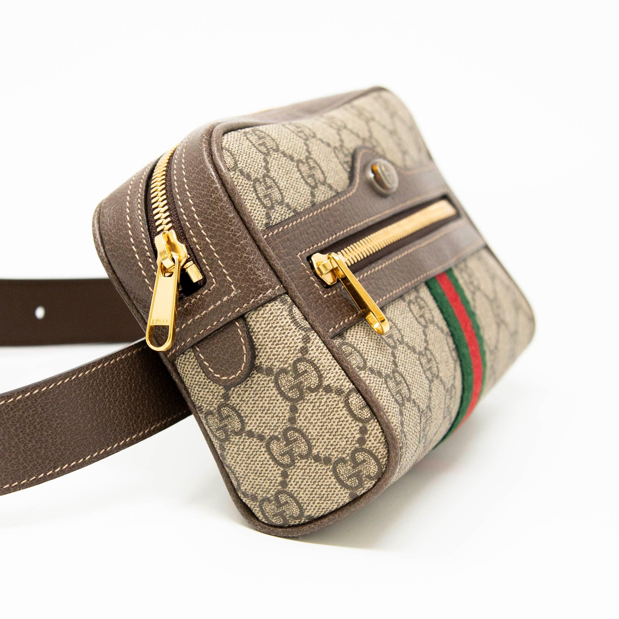 Gucci Ophidia Belt Bag - Image 4