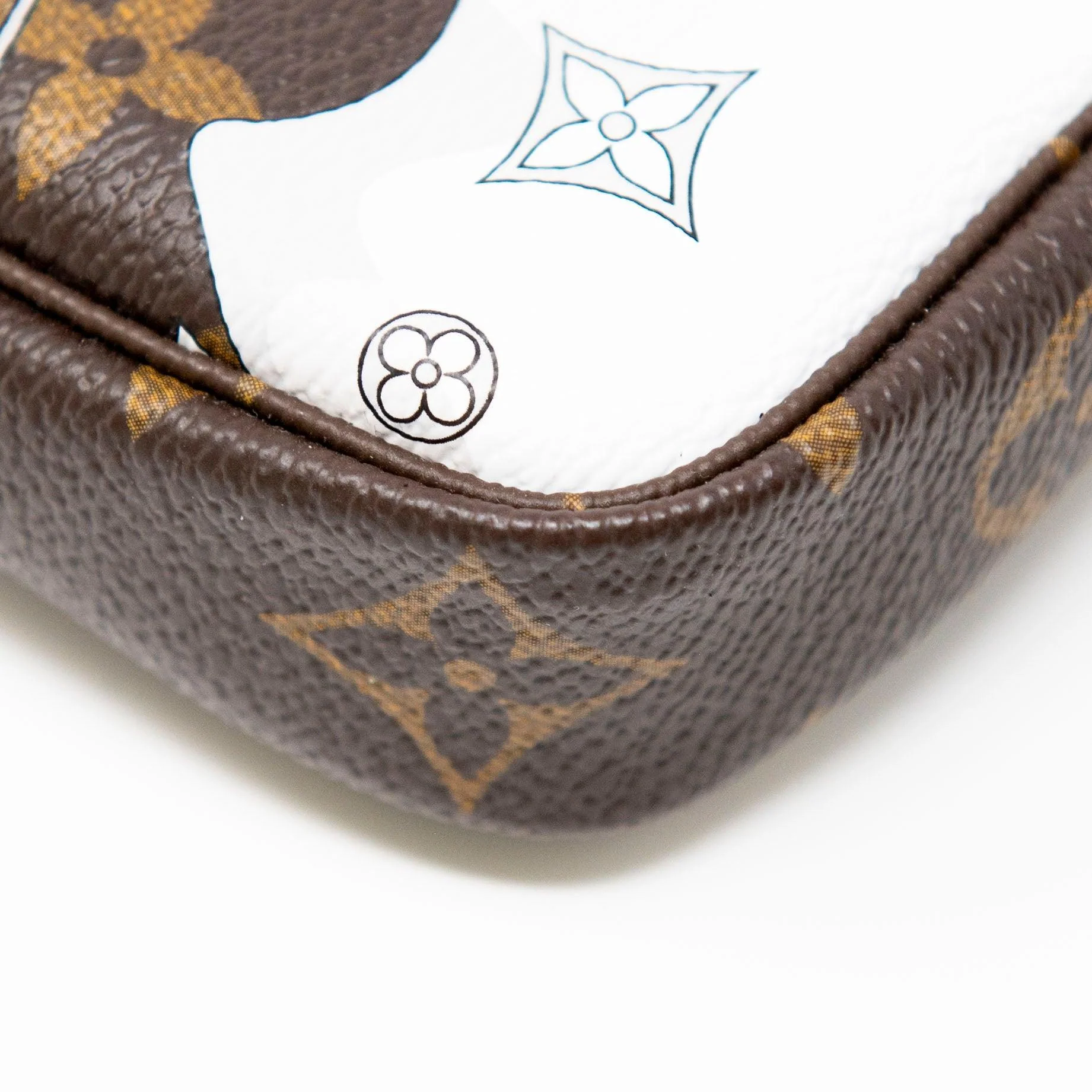Louis Vuitton Courchevel Mini Pochette Accessories - Image 7