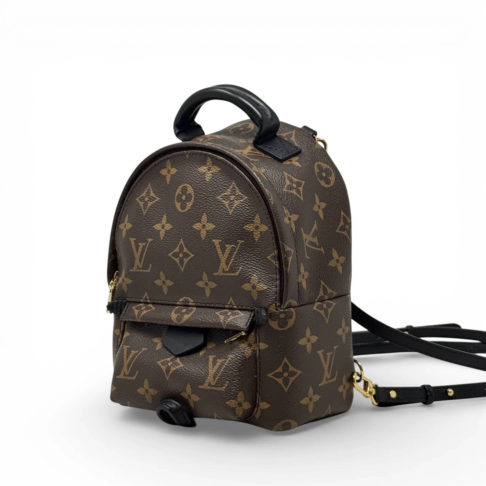 Louis Vuitton Monogram Palm Springs Mini - Image 2