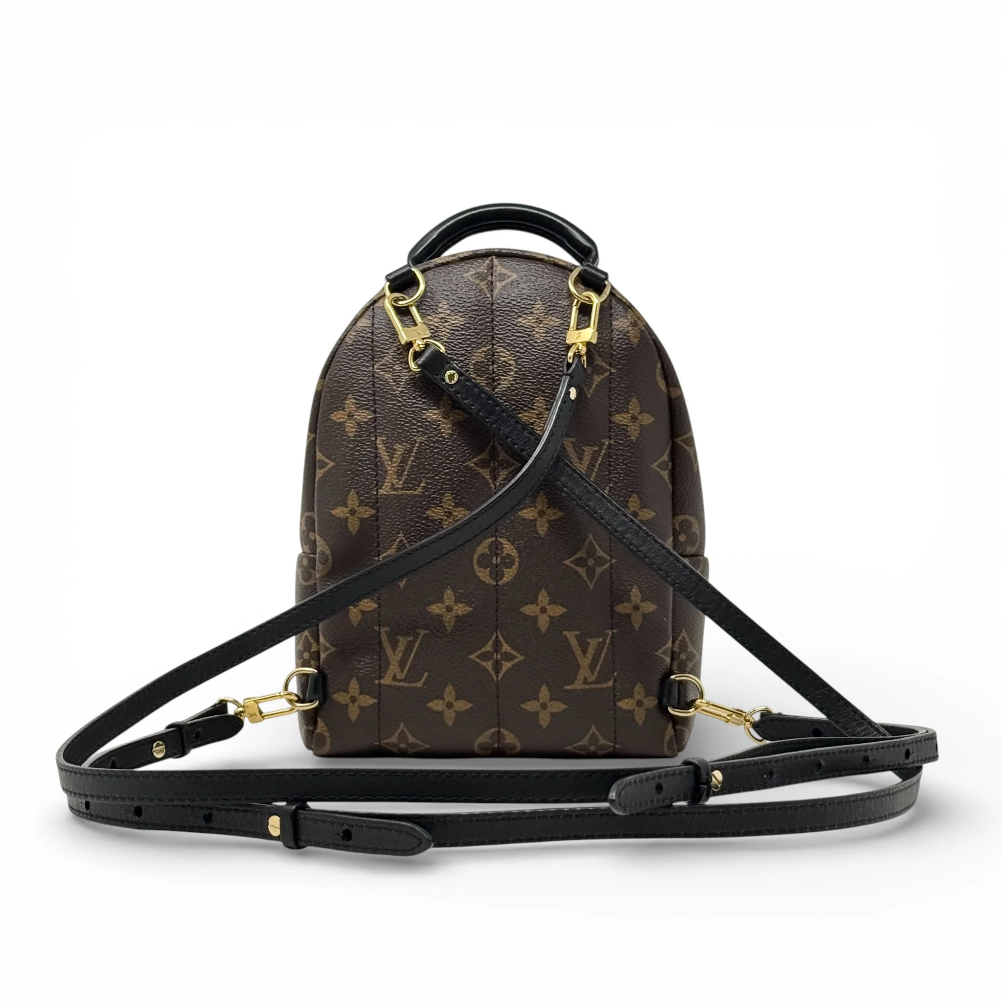 Louis Vuitton Monogram Palm Springs Mini - Image 3