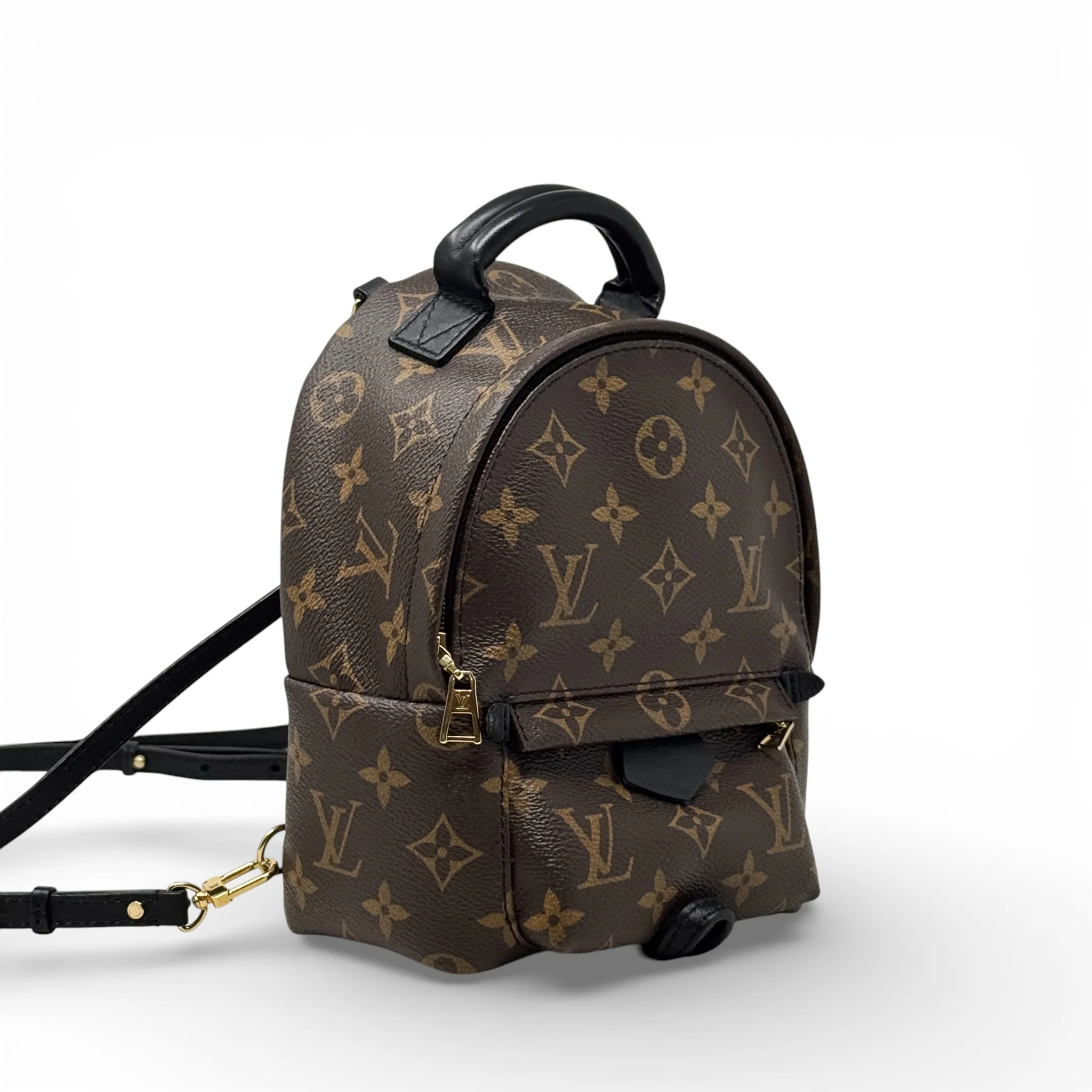 Louis Vuitton Monogram Palm Springs Mini - Image 4