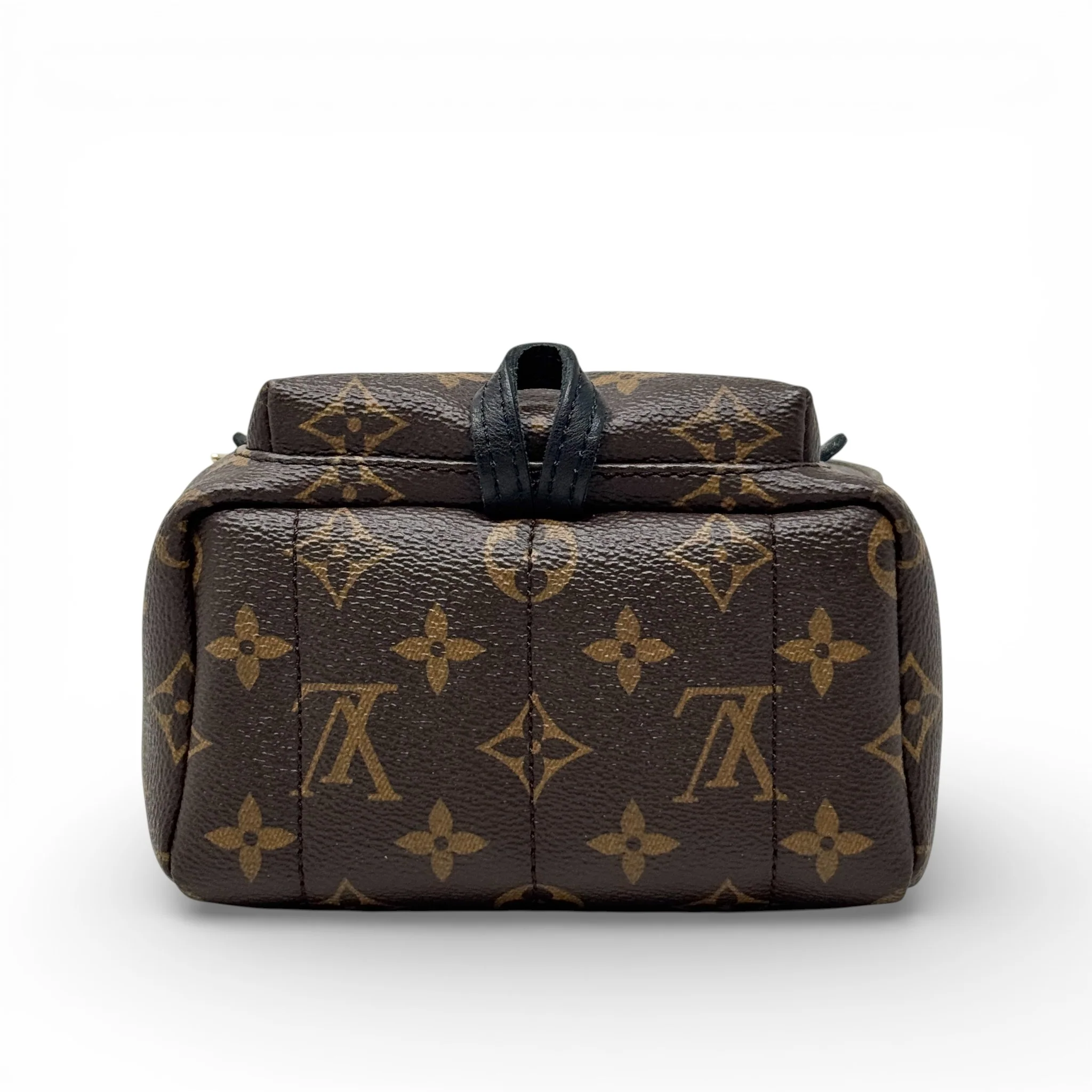 Louis Vuitton Monogram Palm Springs Mini - Image 5