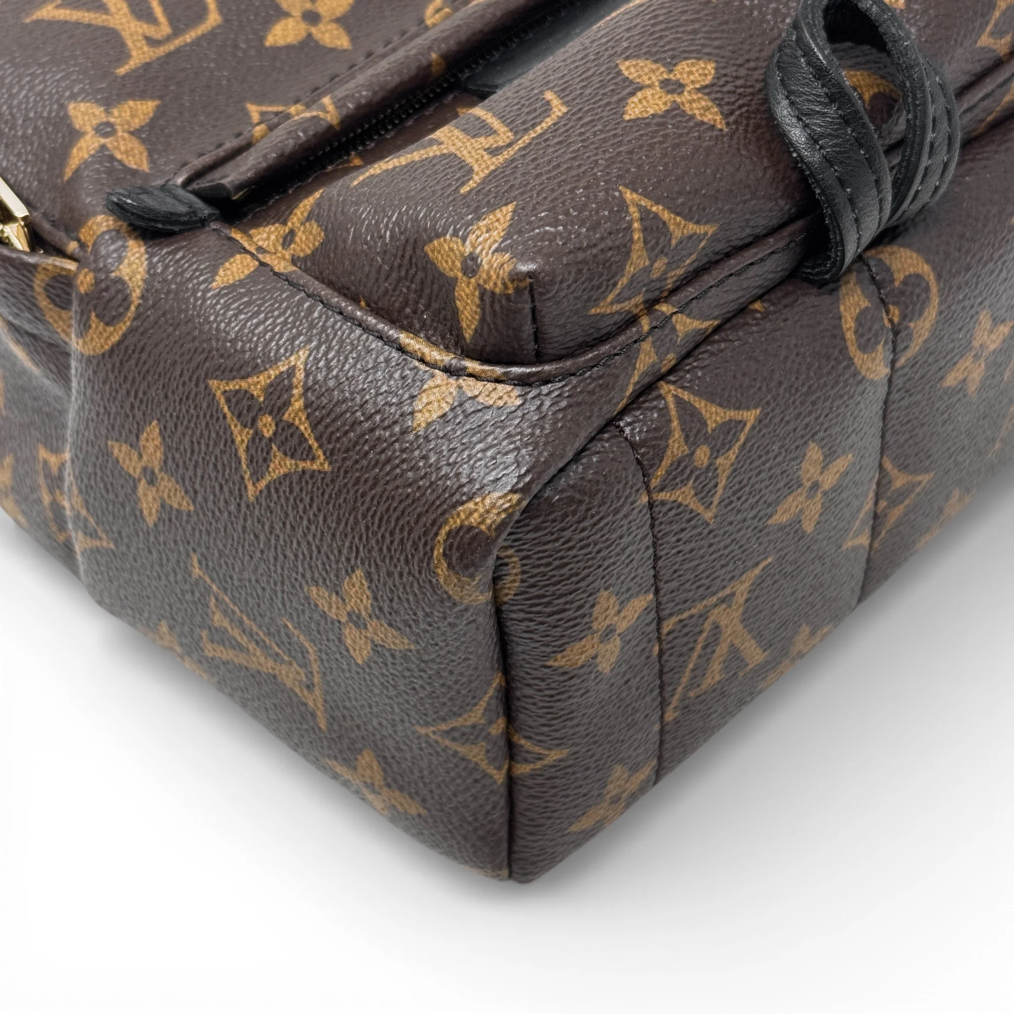 Louis Vuitton Monogram Palm Springs Mini - Image 7