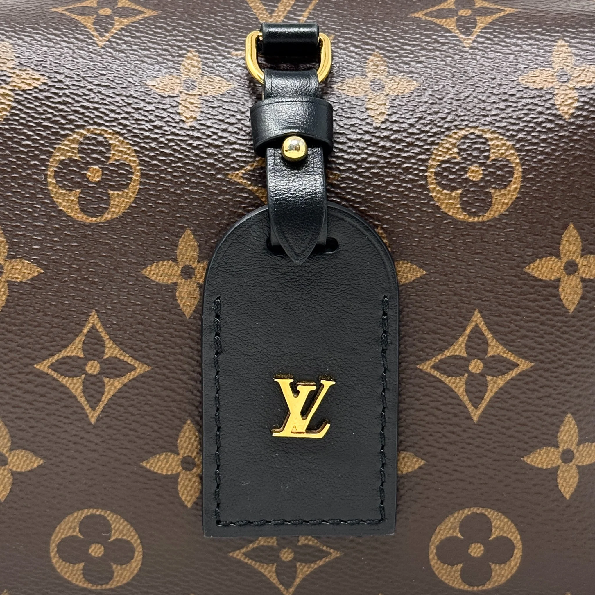 Louis Vuitton Monogram Petite Malle Souple Bag - Image 10