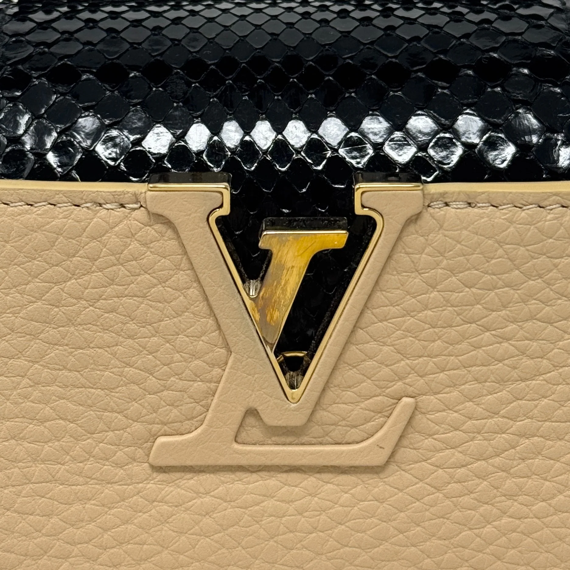 Louis Vuitton Python Mini Capucines Bag - Image 10