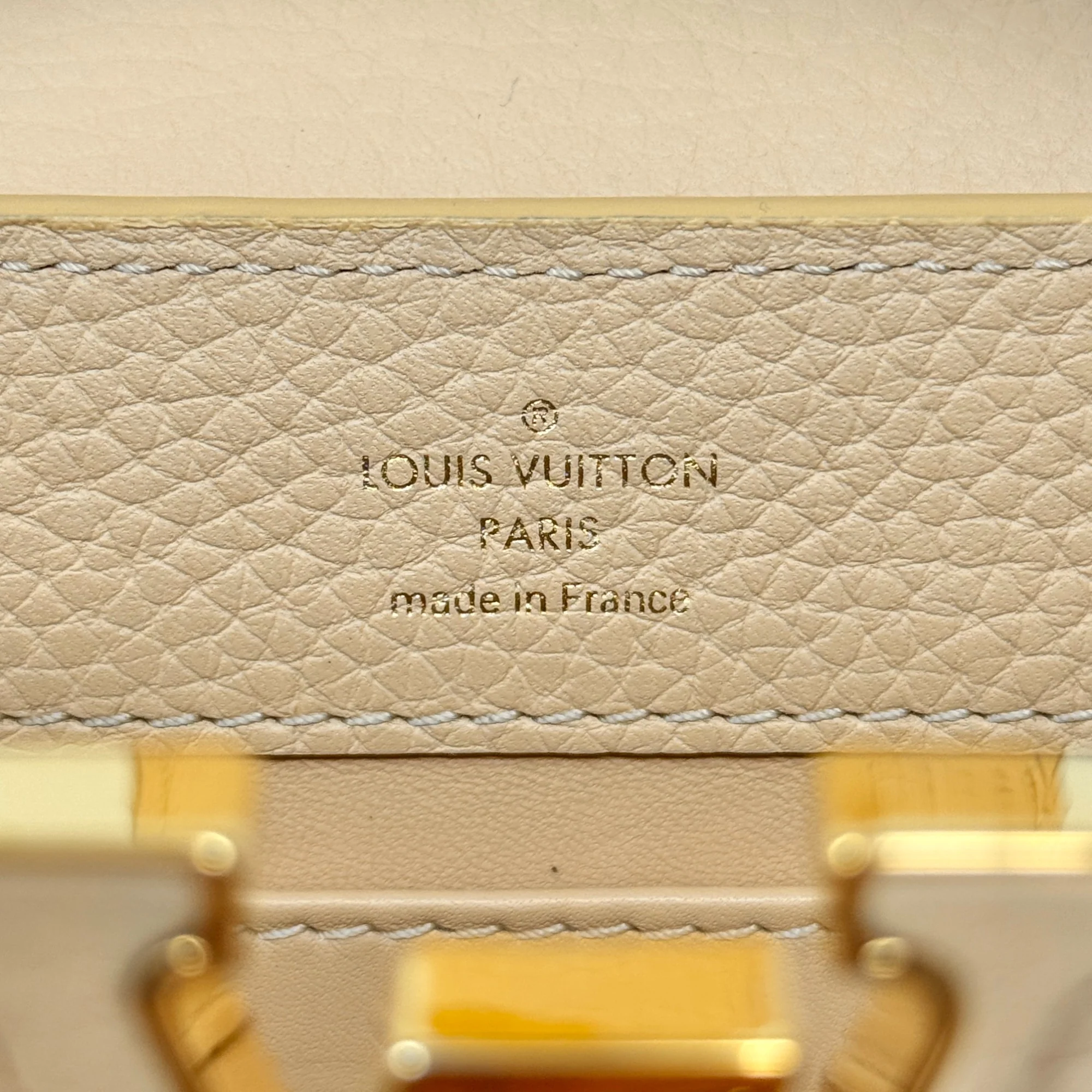 Louis Vuitton Python Mini Capucines Bag - Image 13