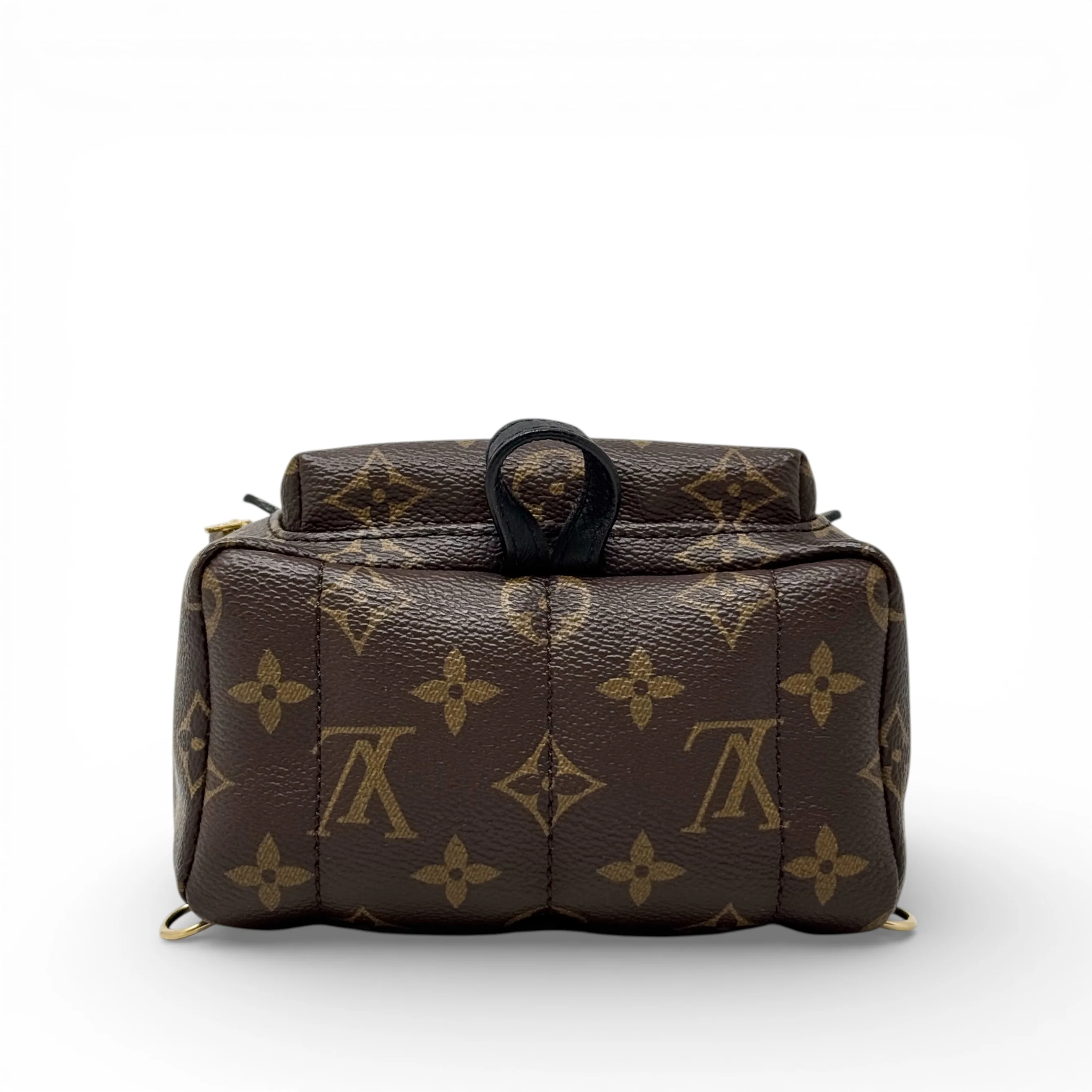 Louis Vuitton World Tour Palm Springs Mini - Image 5